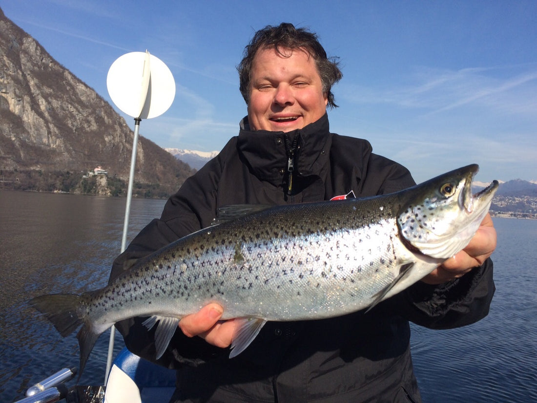 Seeforelle 56cm Luganersee