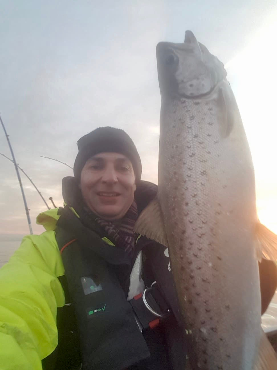 Seeforellen 62, 54, und 52cm Bodensee