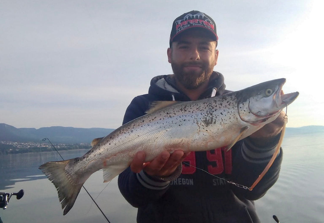 Seeforelle 54cm Neuenburgersee