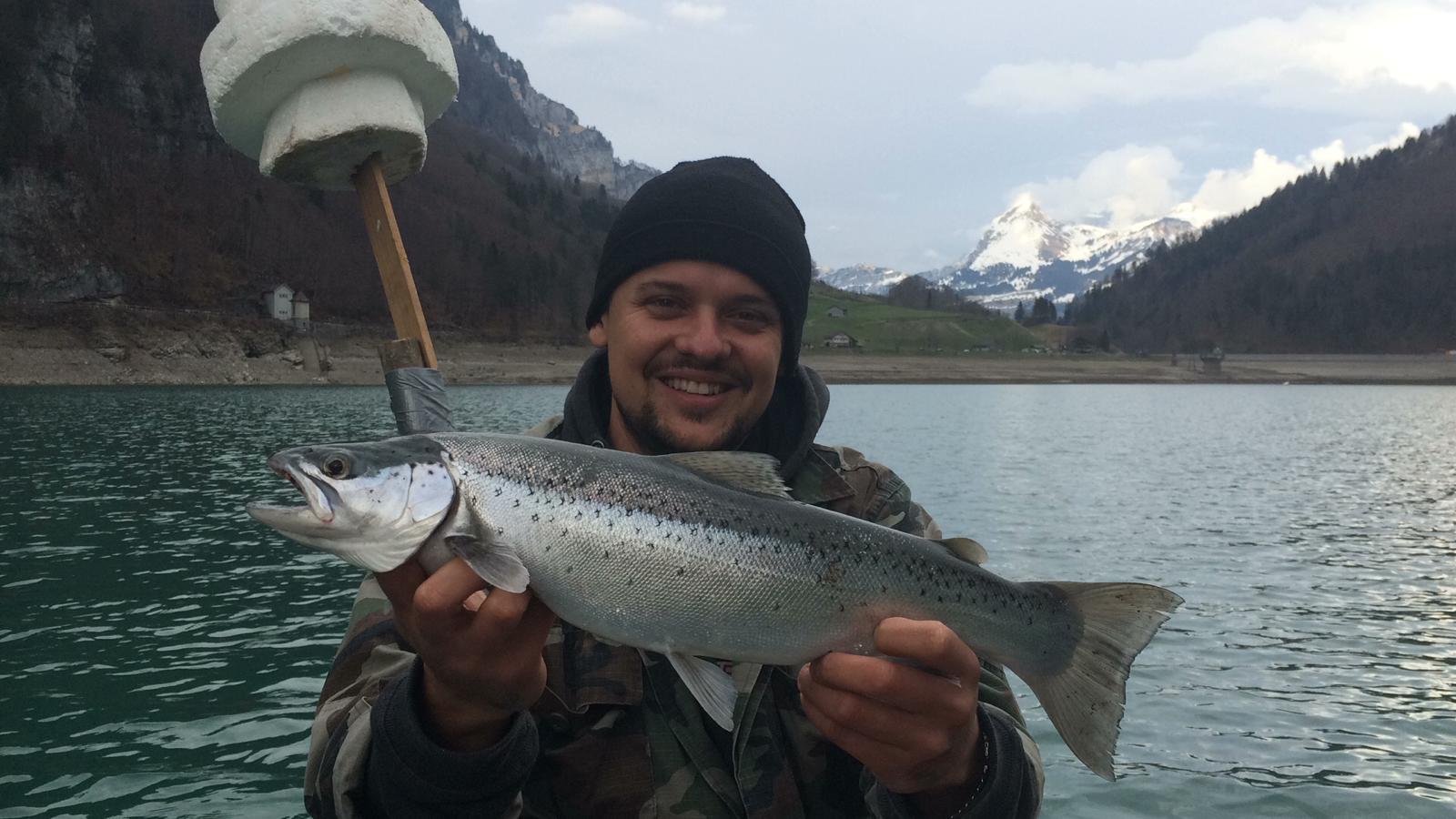 Seeforelle 53cm Klöntalersee