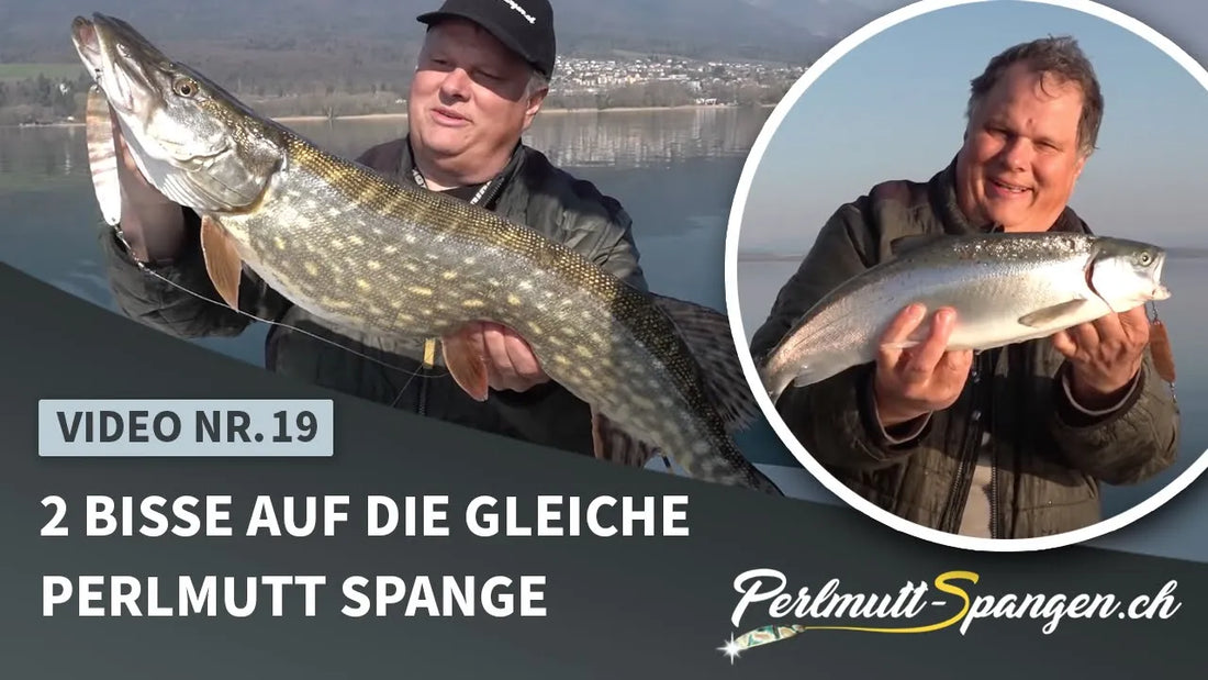 2 Bisse auf die gleiche Perlmutt Spange