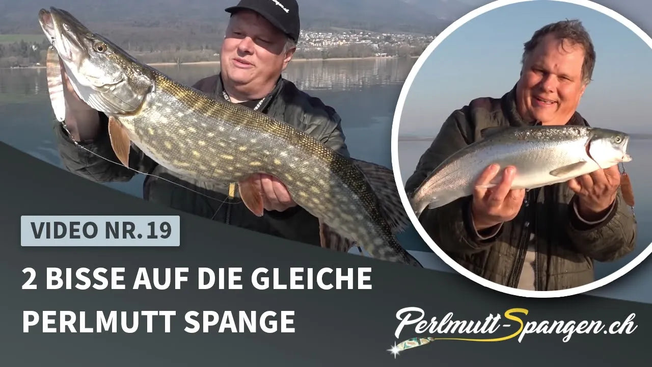 2 Bisse auf die gleiche Perlmutt Spange