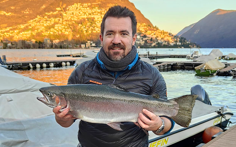 Regenbogenforelle 68cm Luganersee