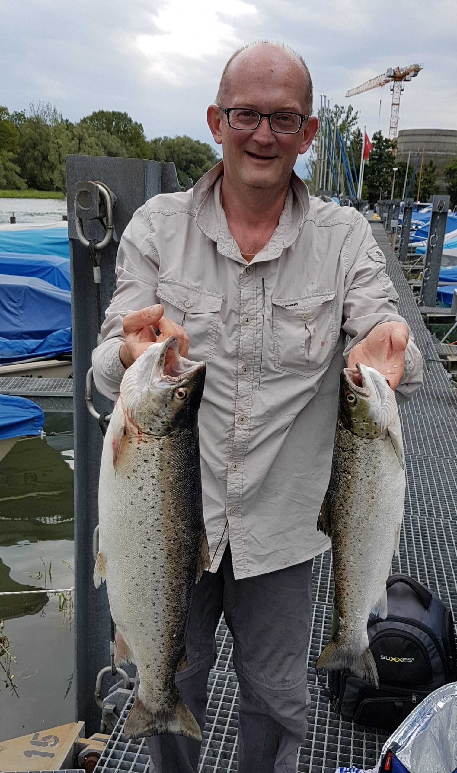 Seeforelle 67cm Bodensee