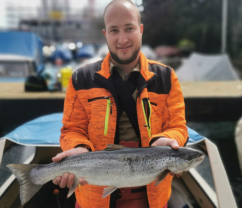 Seeforelle 64cm Zürichsee