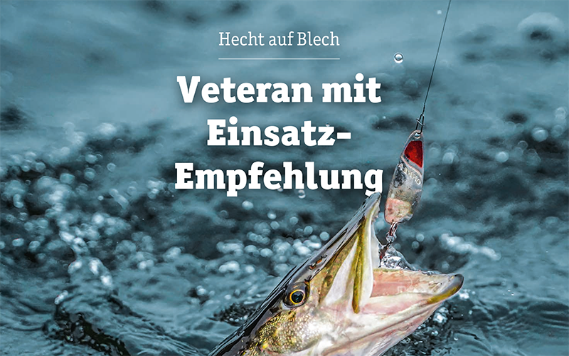 Hecht auf Blech – Bericht Petri-Heil