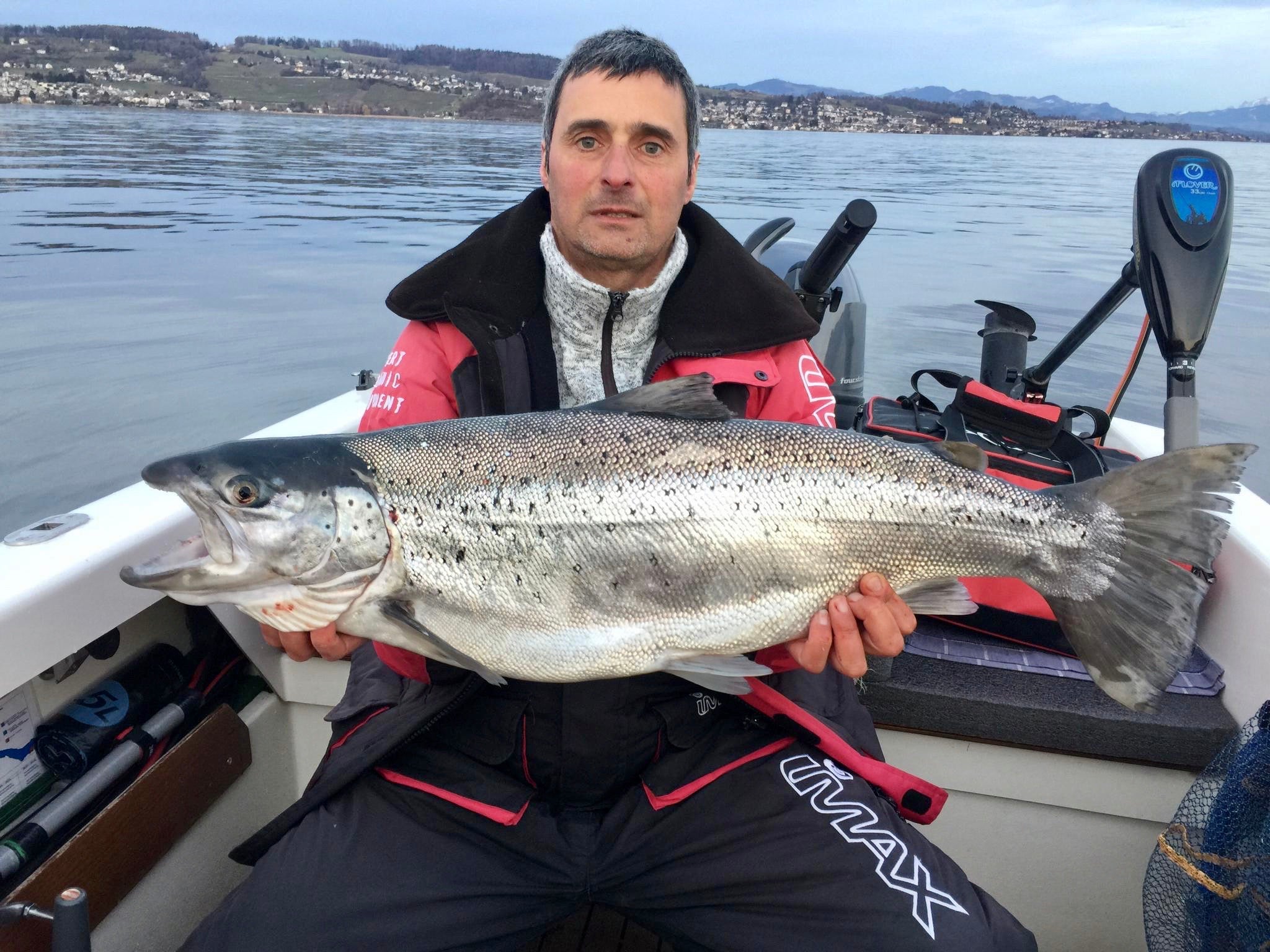 Seeforelle 82cm Zürichsee