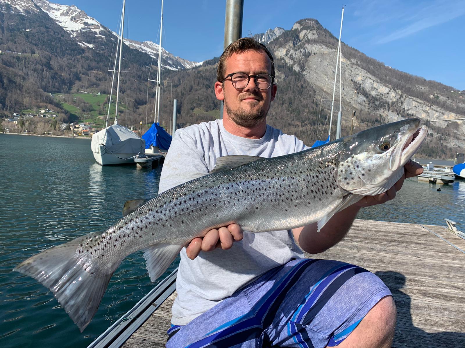 Seeforelle 74cm Walensee