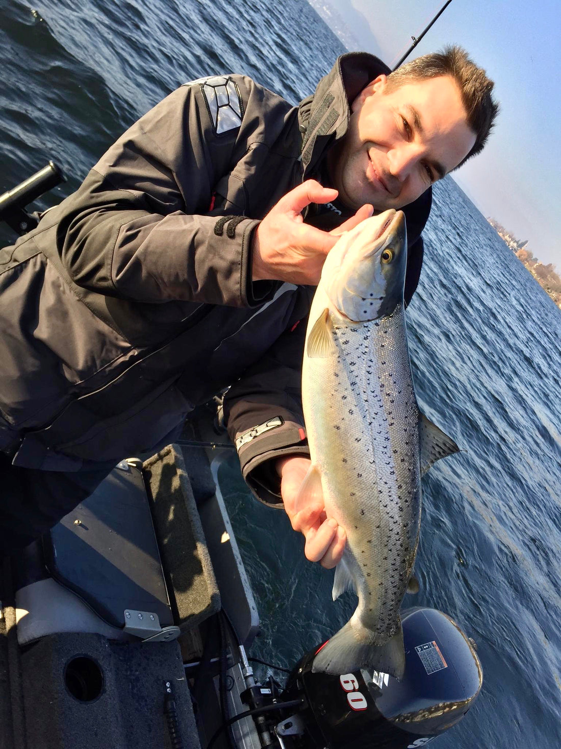 Seeforelle 56cm Zürichsee