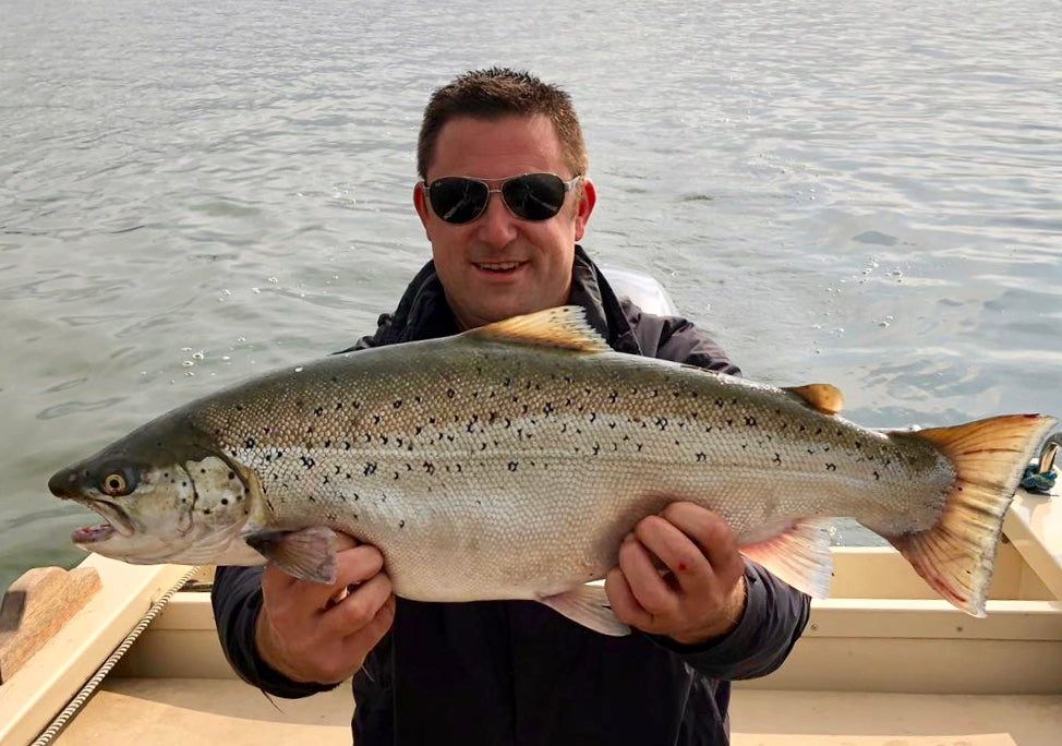 Seeforelle 72cm Bodensee