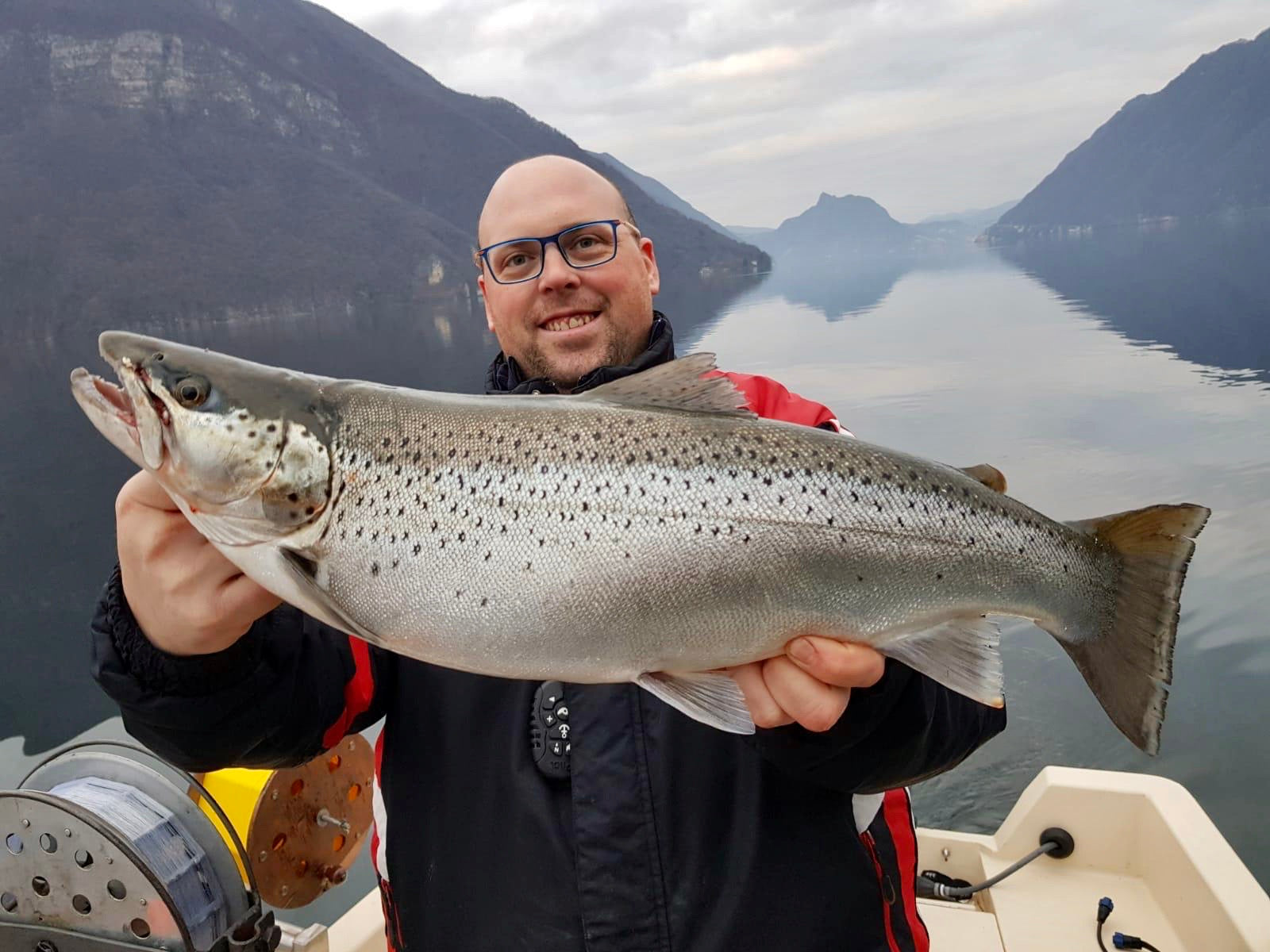 Dicke Seeforelle aus dem Luganersee