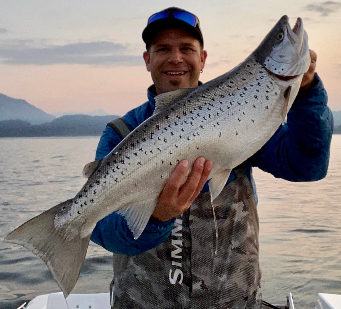 Seeforelle 75cm Zugersee