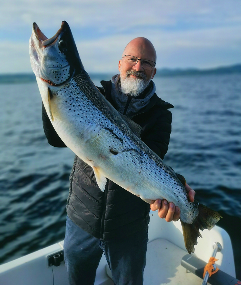 Seeforellen 61cm, 71cm und 83 cm Neuenburgersee