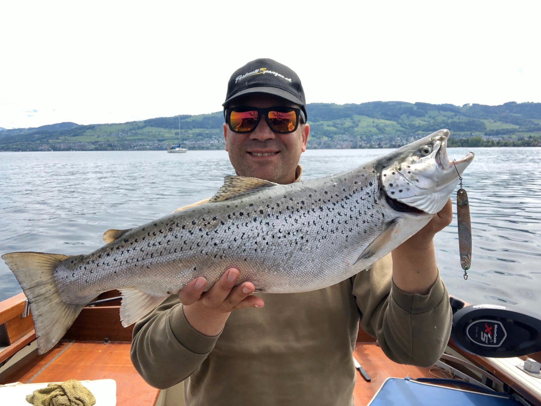 Seeforelle 62cm Bodensee