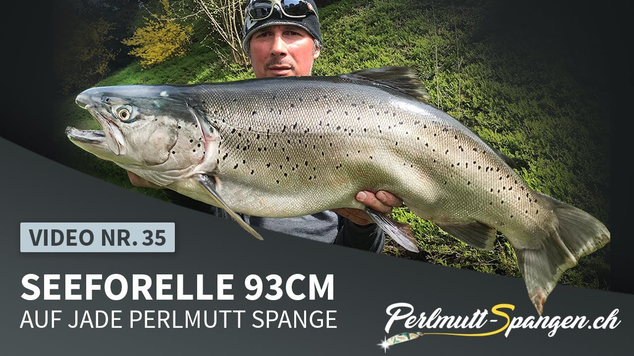 Seeforelle 93cm auf Jade Perlmutt Spange