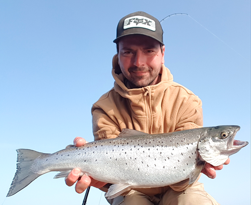 Seeforelle 59cm Bodensee