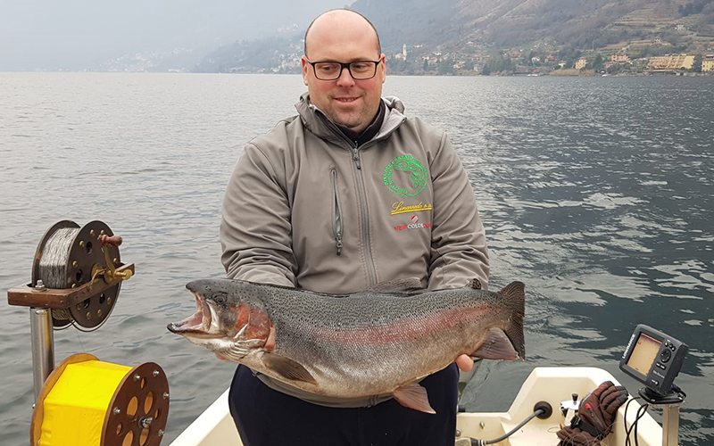 Regenbogenforelle 70cm Luganersee