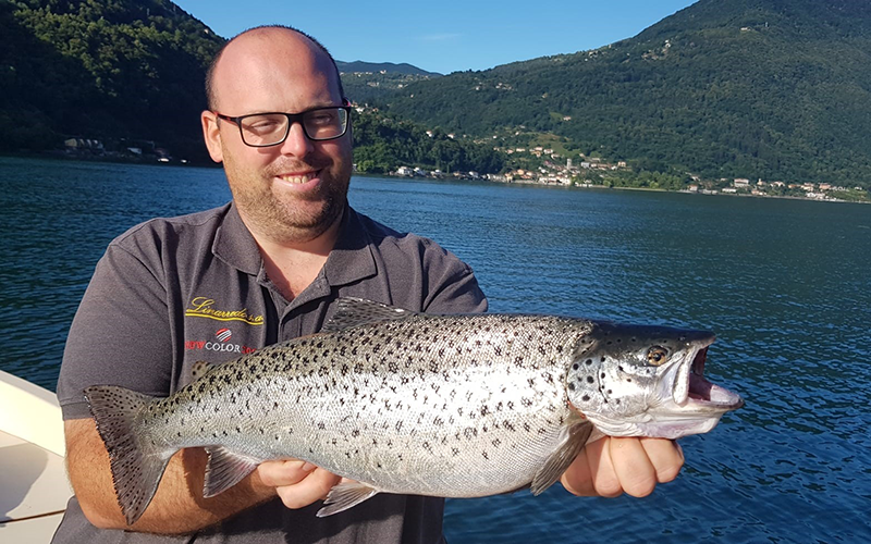 Seeforelle 54cm Luganersee