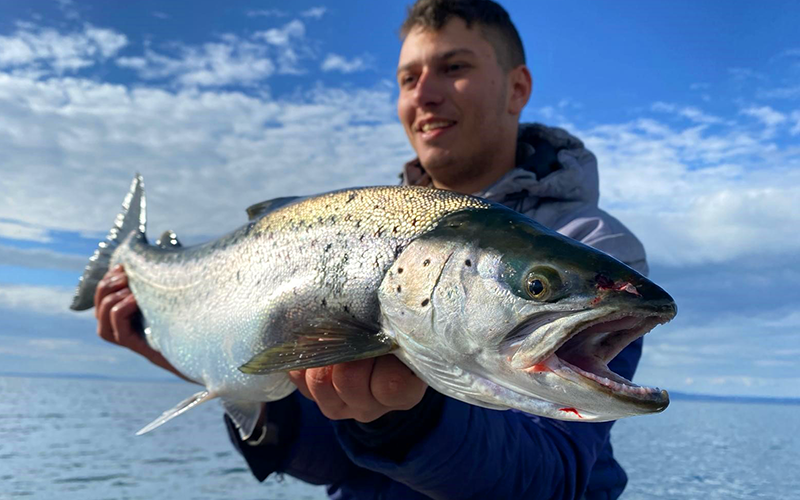 Seeforelle 65cm Bodensee