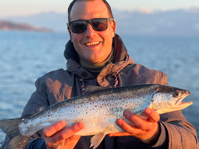 Seeforelle 53cm Zürichsee