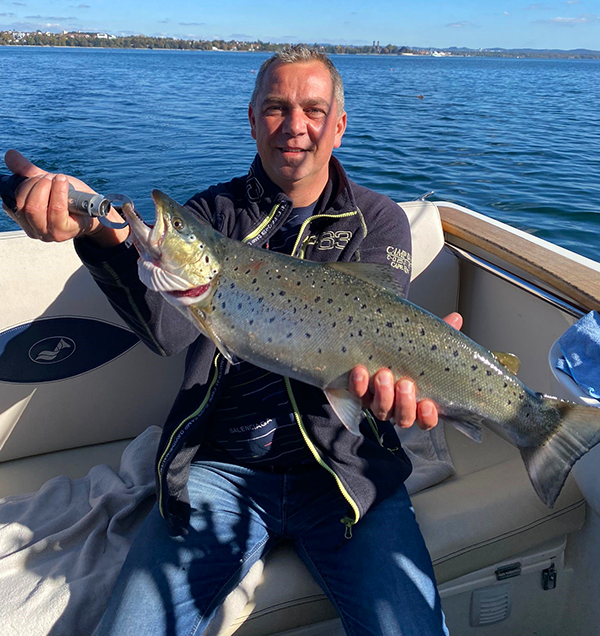 Seeforelle 66cm Bodensee