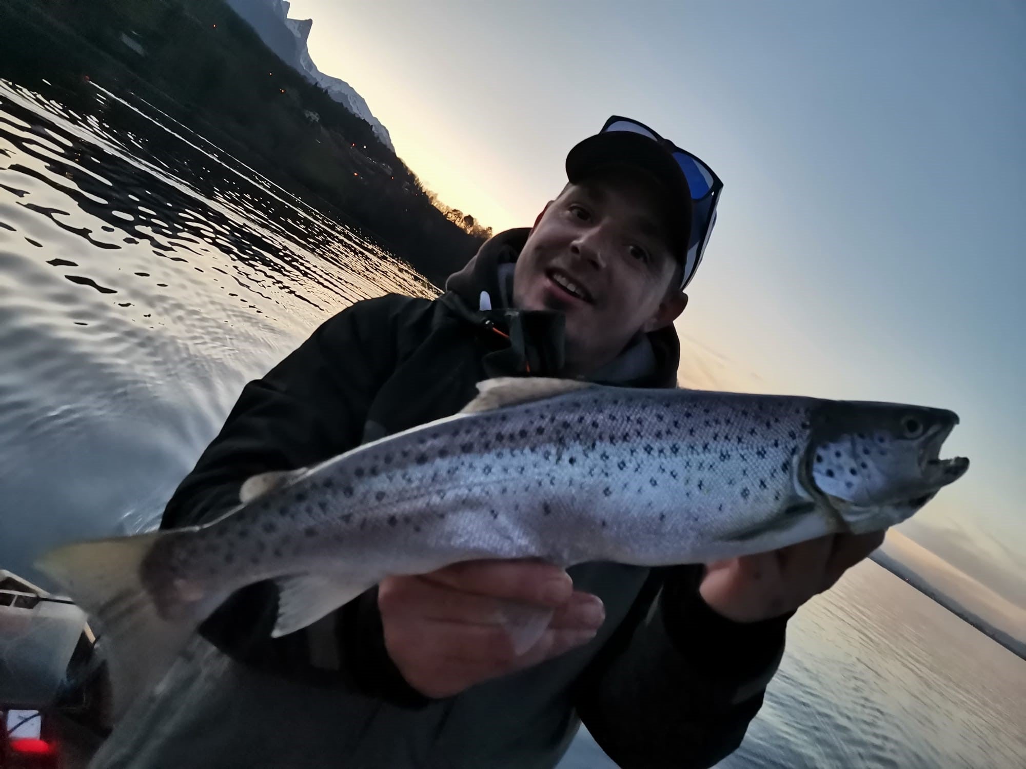 Seeforelle Thunersee 52cm