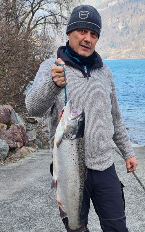 Seeforelle 74cm Walensee