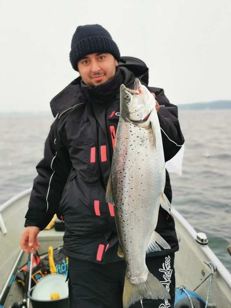 Seeforelle 63cm Bodensee