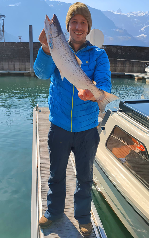 Seeforelle 56cm Walensee
