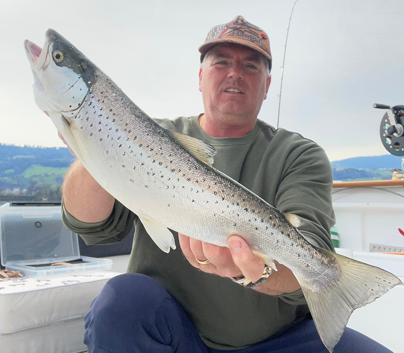 Seeforelle 53cm Zürichsee