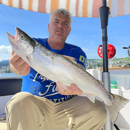 Seeforelle 53cm Zürichsee