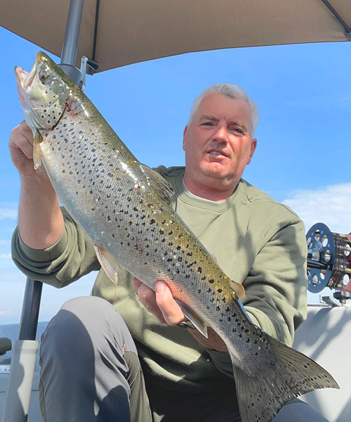 Seeforelle 60cm Bodensee