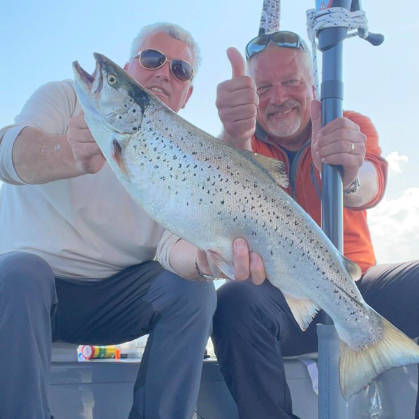 Seeforelle 68cm Bodensee