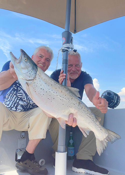 Seeforelle 73cm Bodensee