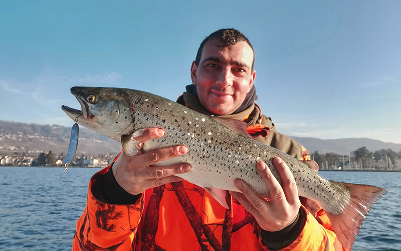 Seeforelle 65cm Genfersee