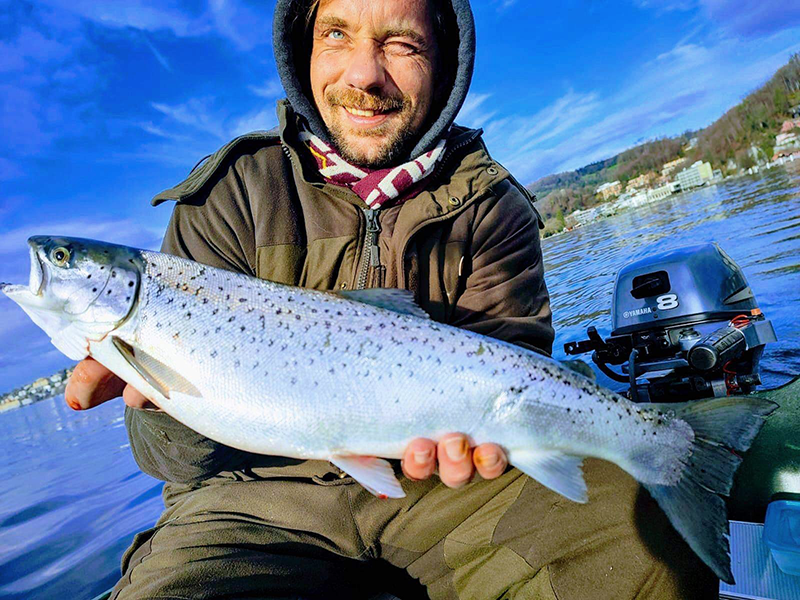 Seeforelle 52er Vierwaldstättersee