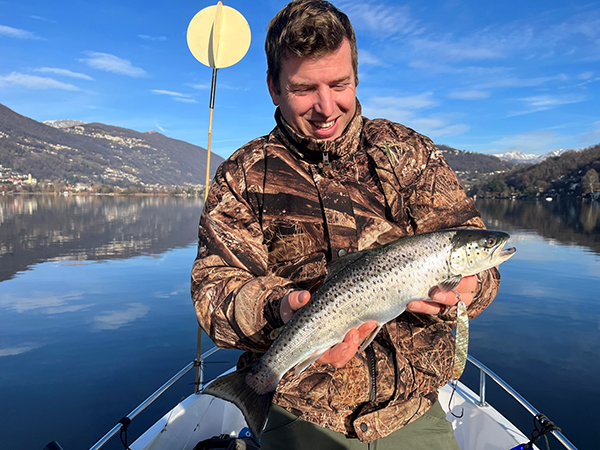 Seeforelle 43 cm Luganersee