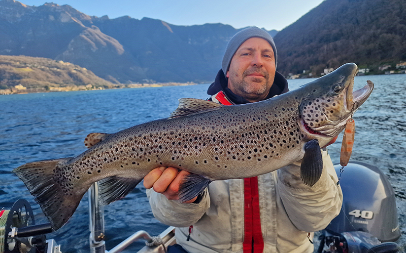 Seeforelle 67cm Luganersee