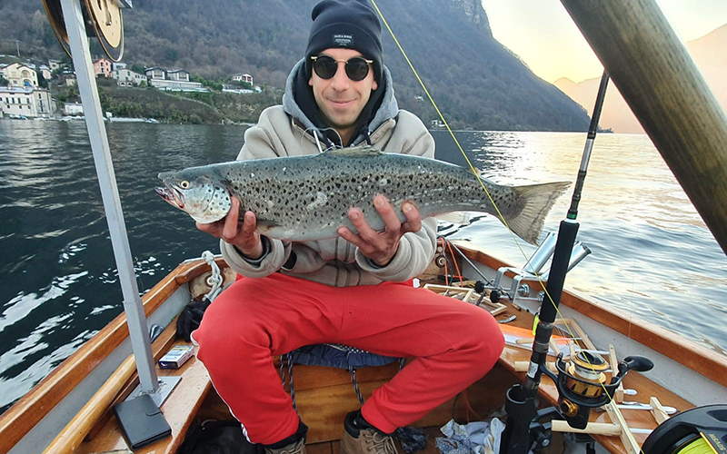 Seeforelle 56cm Luganersee