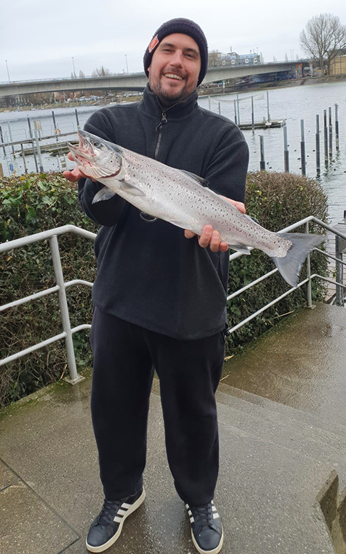 Seeforelle 62 cm Bodensee