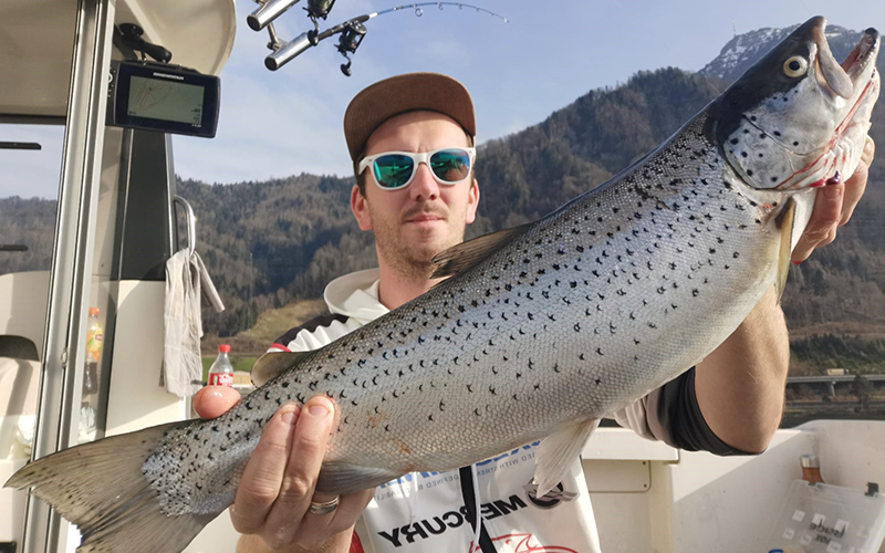 Seeforelle Triplette 64/60/54cm Zugersee