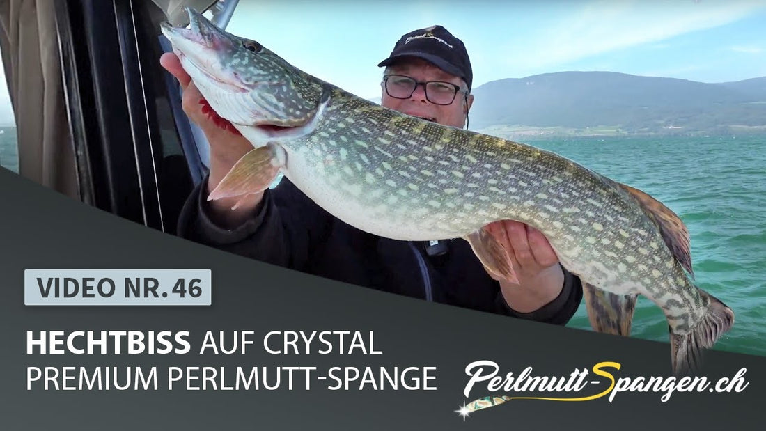 Hechtbiss auf Crystal Premium Perlmutt-Spange