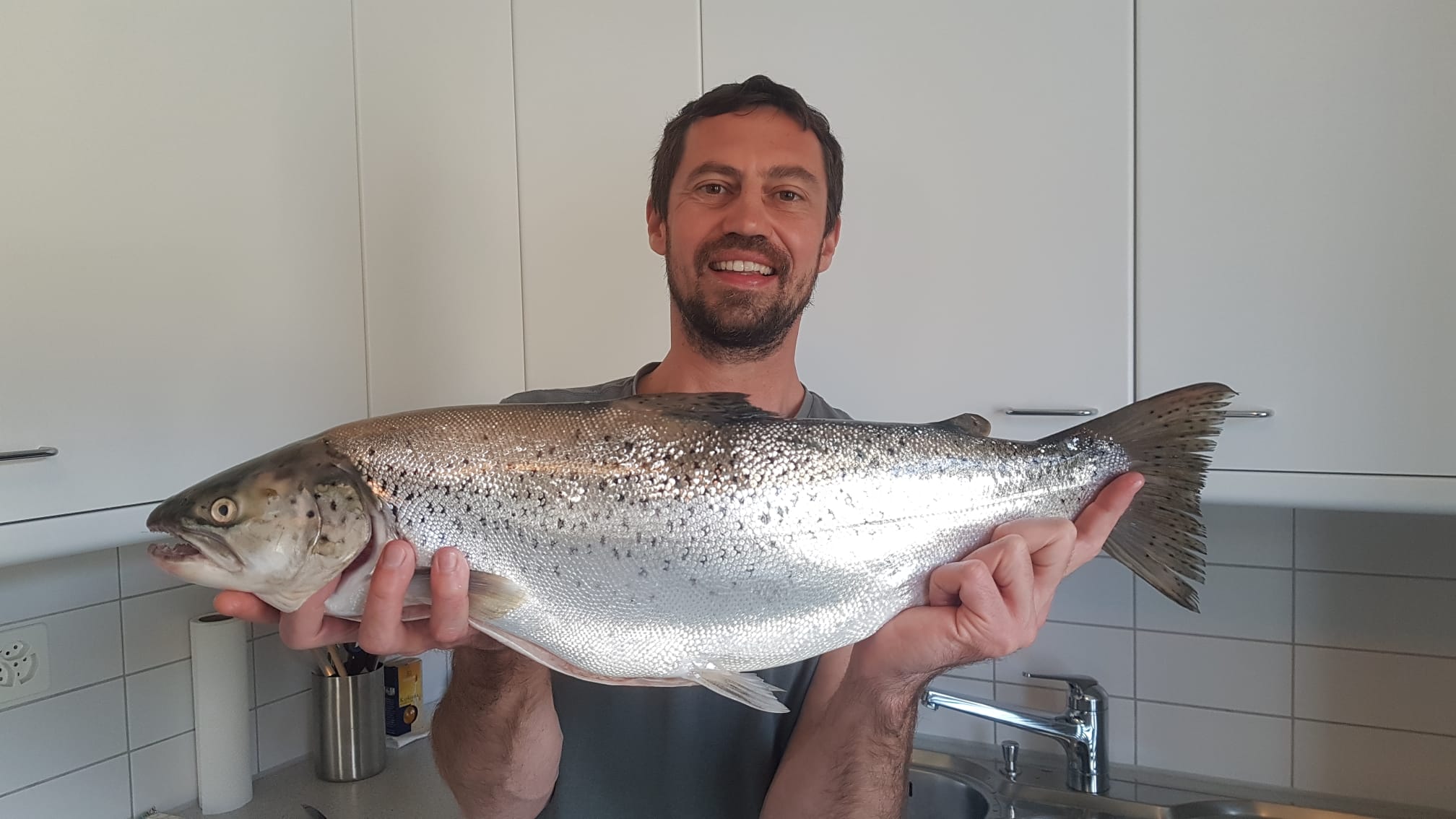 Seeforelle 65cm Zürichsee