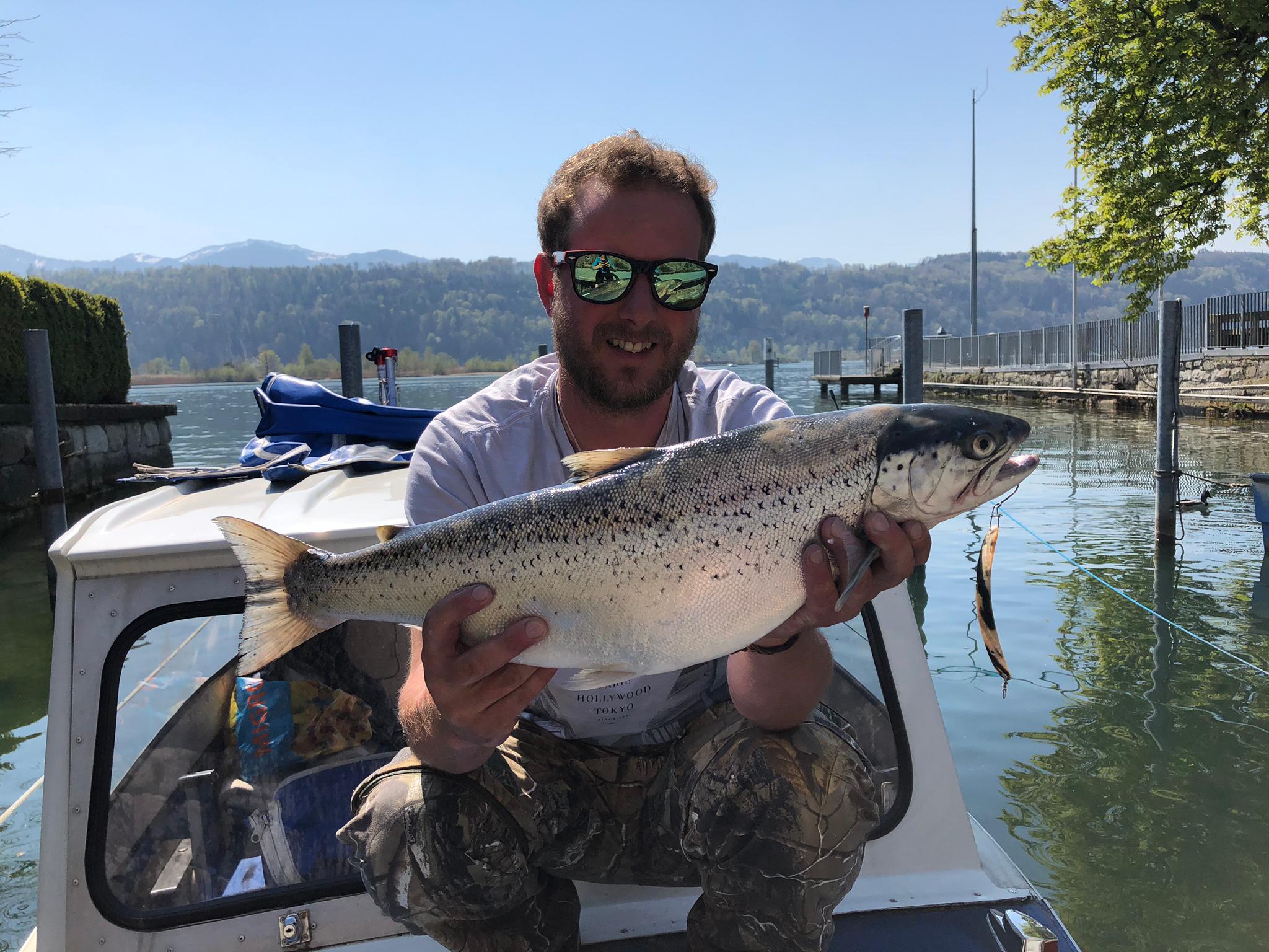 Seeforelle 65cm Zürichsee