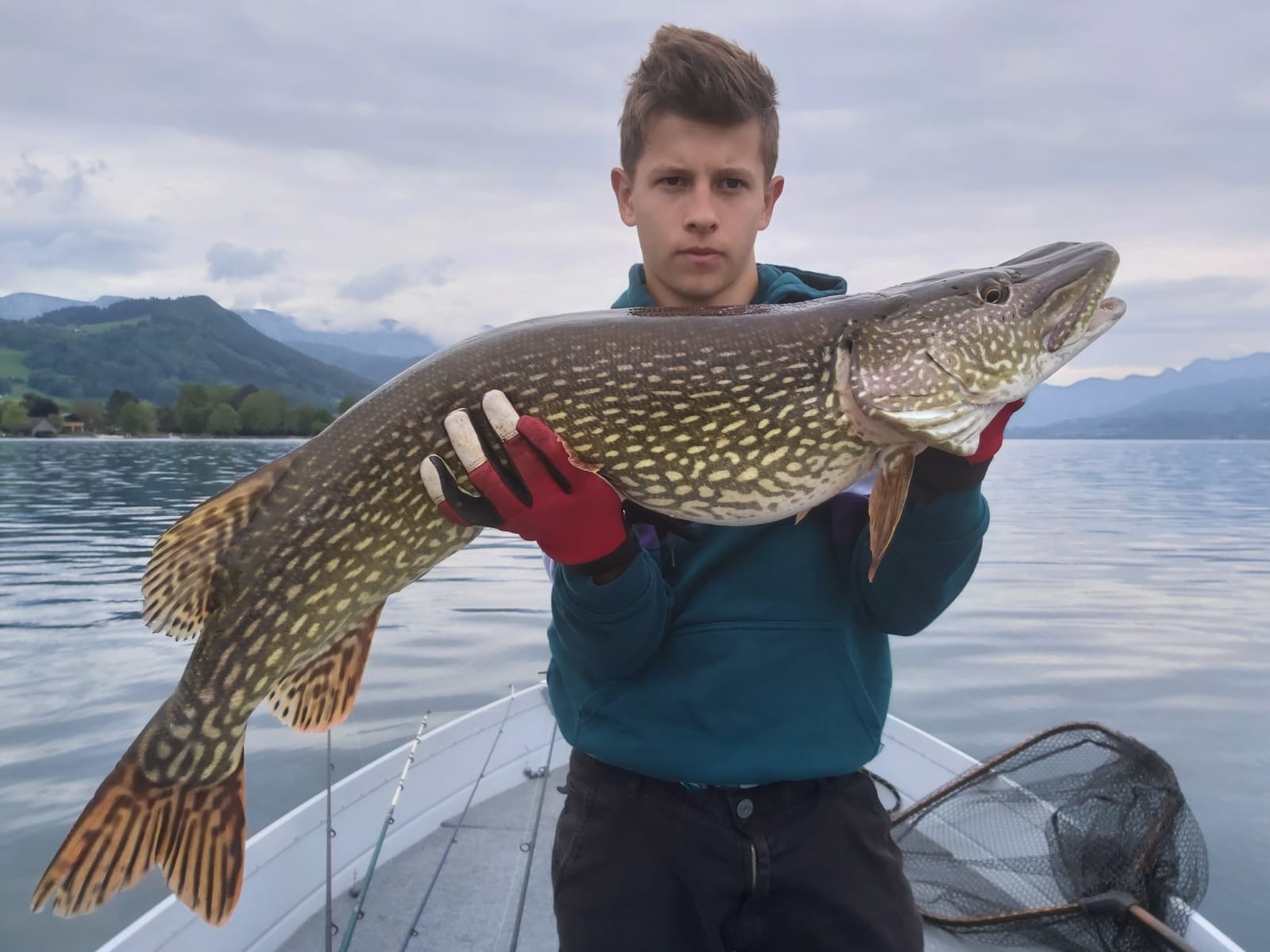 Hecht 105cm Attersee
