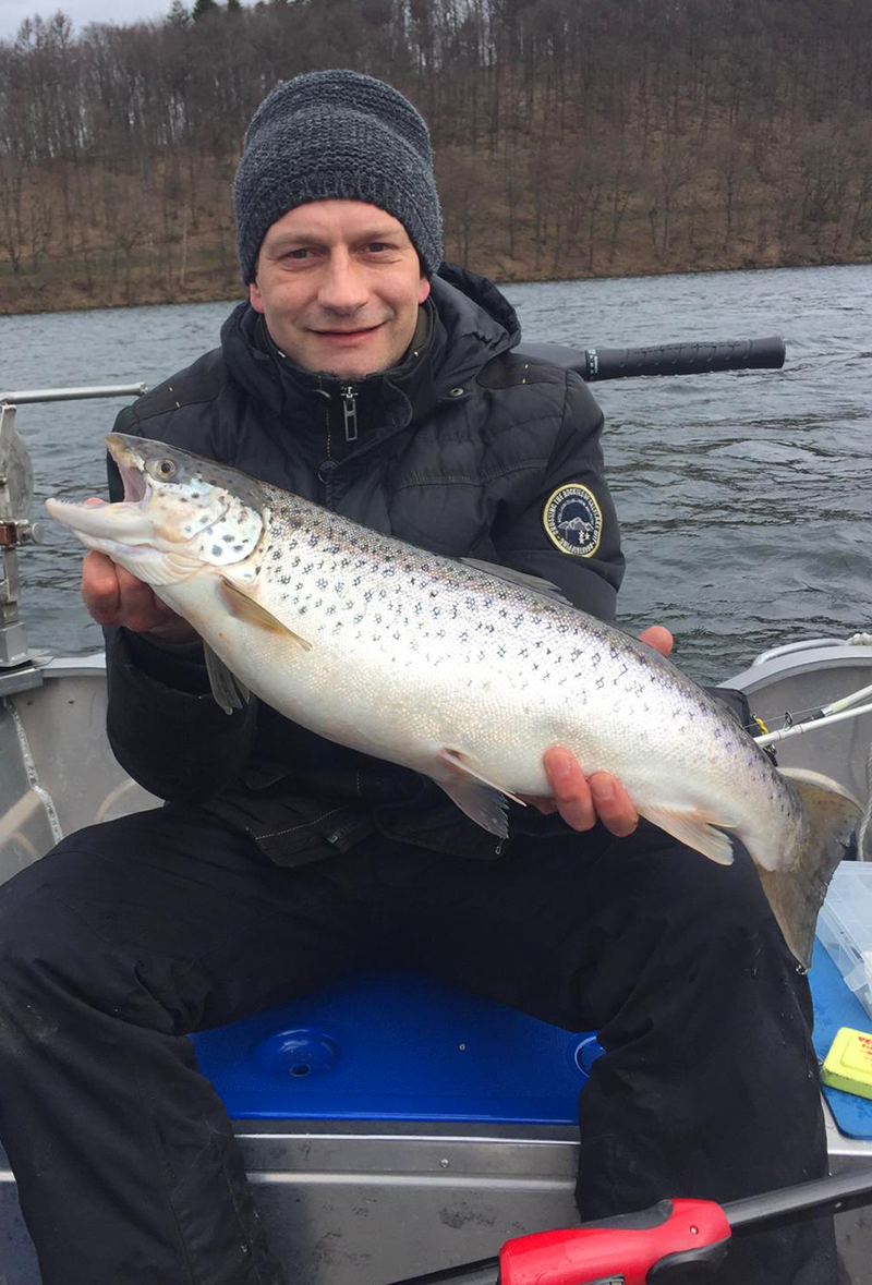 Seeforelle 63cm aus der Talsperre