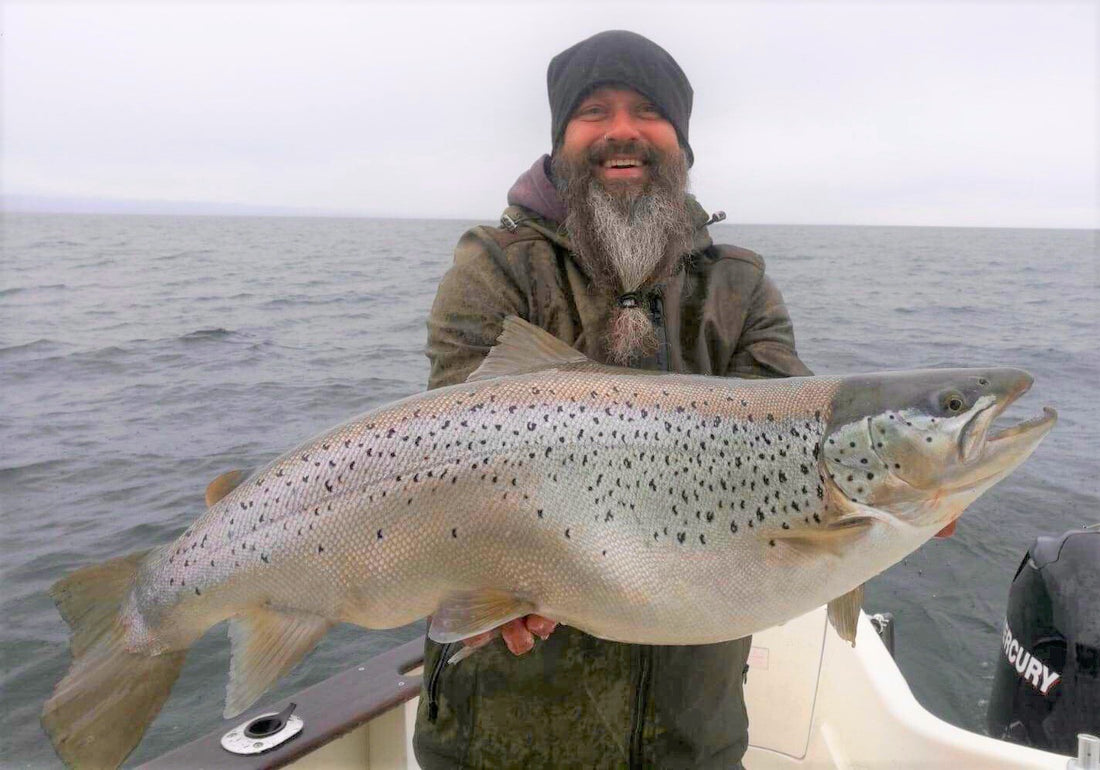 Seeforelle Bodensee 84cm