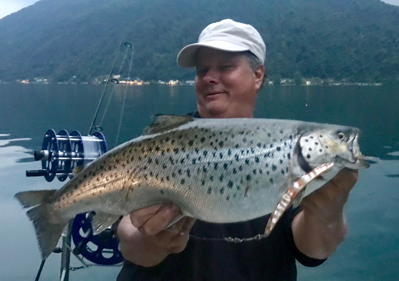 Seeforelle Luganersee 52cm