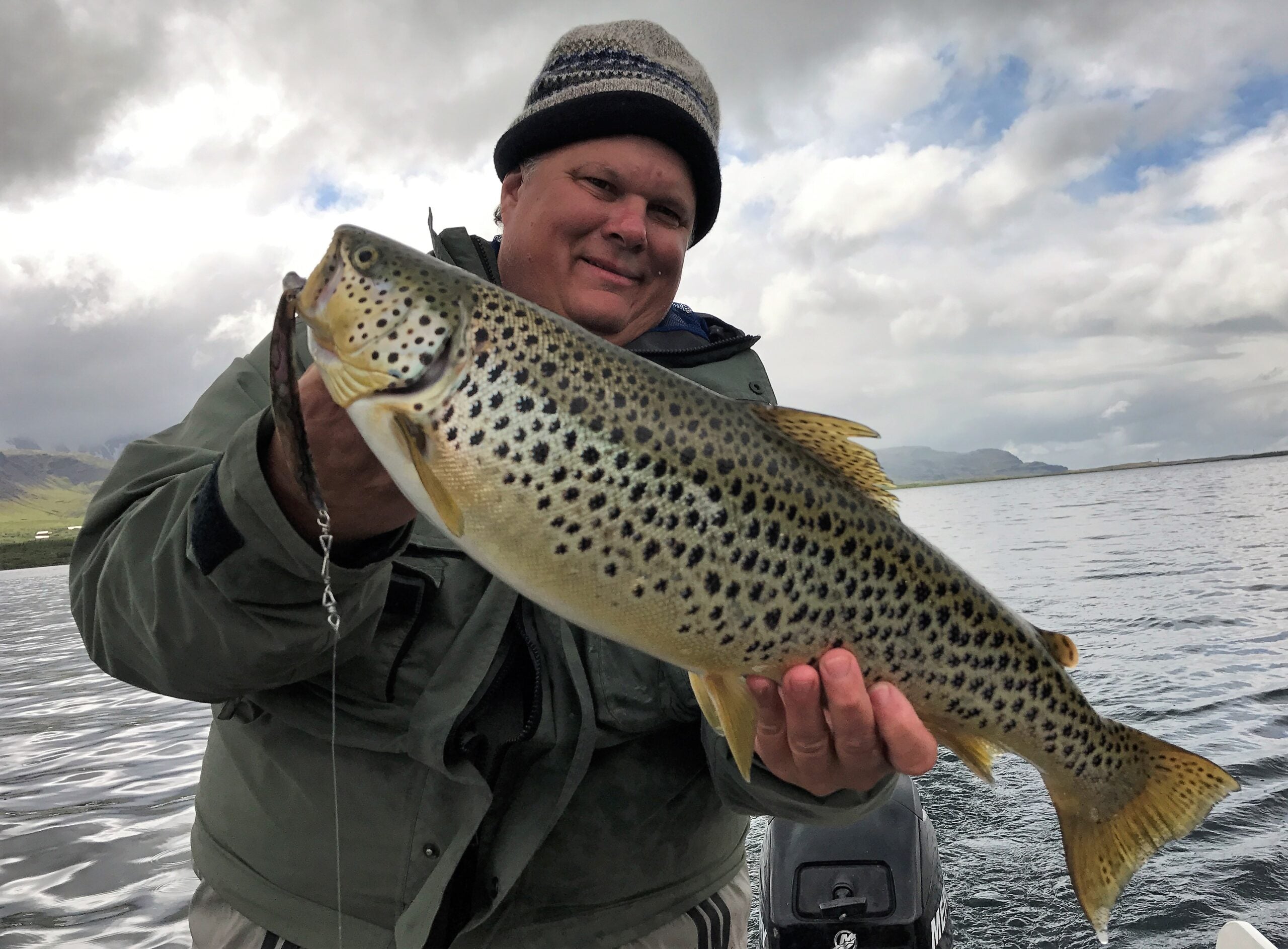 Brown Trout Seeforelle 65cm
