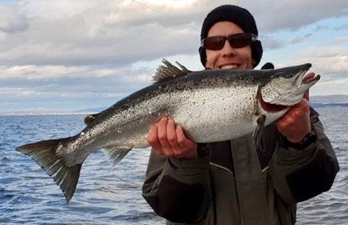 Seeforelle 74cm Bodensee